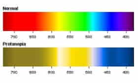 The colour spectrum as seen by those with the colour blindness protanopia