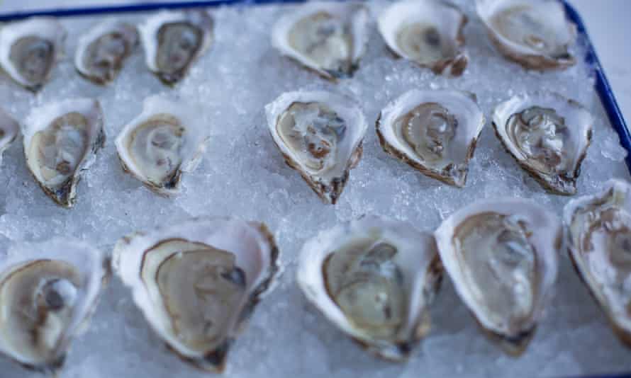 An assortment of oysters on display in Portland, Maine.