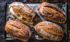 Sourdough bread loaves in a baking tray