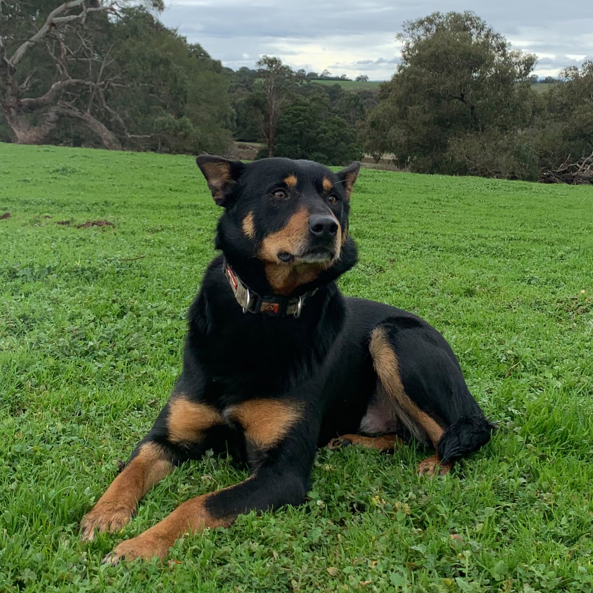 Yxrqd0bx65inam 2022 Isoc Championship Pinchner