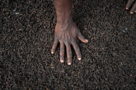 A hand laid on black bugs.