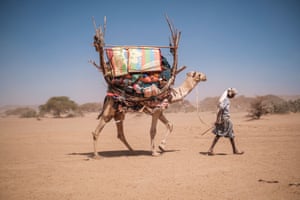 A pastoralist walks with a camel carrying his goods in an area 30km away from Gode