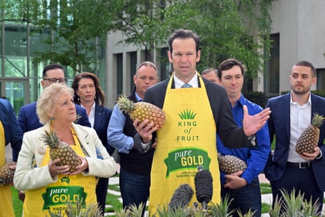 Nationals Leader Matt Canavan with Nationals MPs and pineapple stakeholders at a press conference at Parliament House in Canberra, Wednesday, October 14, 2026. (AAP Image/Mick Tsikas)