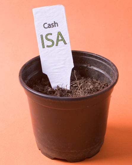 Cash Isa label in plant pot with small shoots
