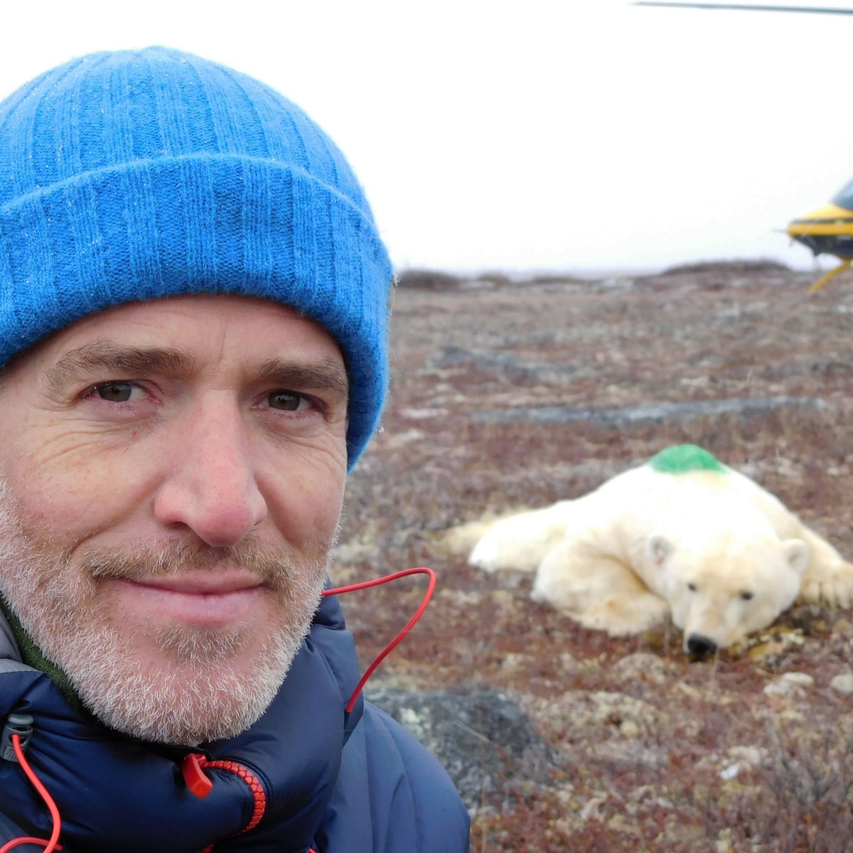 Life In Polar Bear Town With Gordon Buchanan Review Bleak Enlightening Television Radio The Guardian