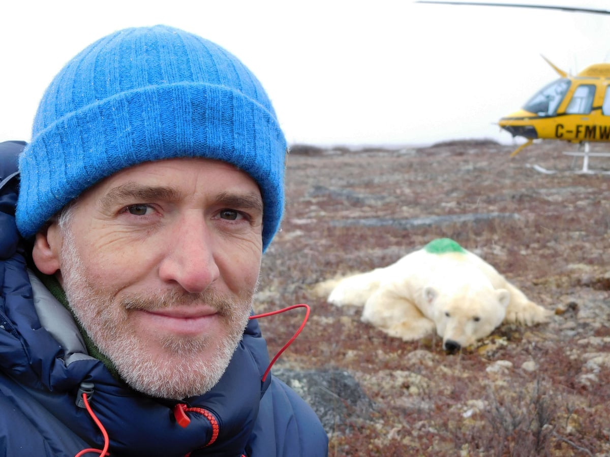Life In Polar Bear Town With Gordon Buchanan Review Bleak Enlightening Television Radio The Guardian