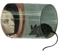 A mouse in a tube as a person peers in