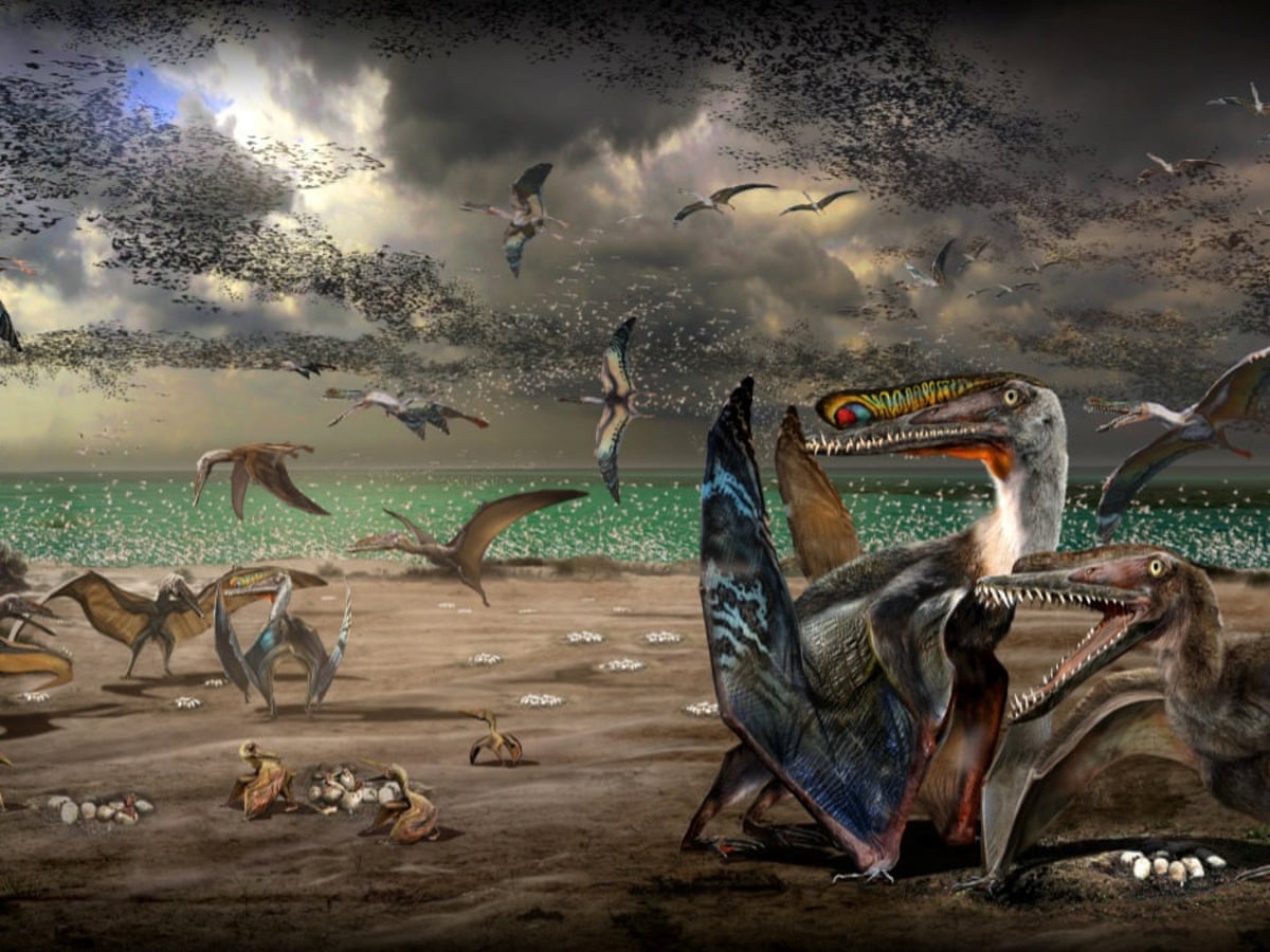 Pterosaurs: record haul of egg fossils from ancient flying reptile found in  China, Dinosaurs