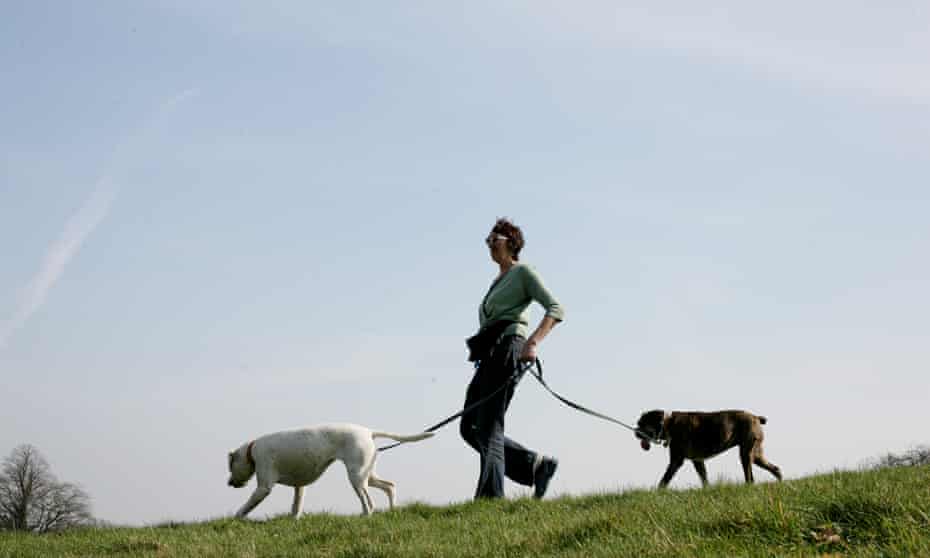 Michele Hanson walking her dogs on Hampstead Heath. 