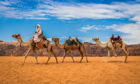 Camels in Wadi Rum, where the live action film of Aladdin was shot.