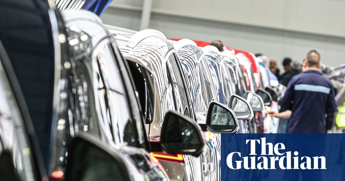 ‘My Tesla has become ordinary’: Turkey catches up with EU in electric car sales