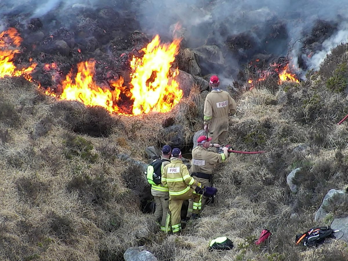 Whole ecosystems 'decimated' by huge rise in UK wildfires | UK news | The Guardian