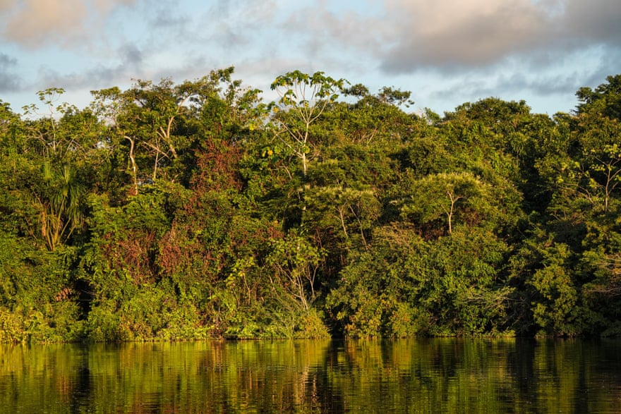 Vegetation along Clavero Lake.