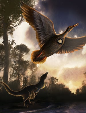 A mid-sized raptor dinosaur is shown using close-mouth vocal behaviour and Vegavis iaai, whose fossilised voicebox has been found, is shown flying overhead. 