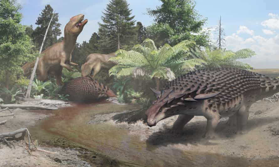 A Glimpse Of When Canada S Badlands Were A Lush Dinosaur Forest By The Sea Palaeontology The Guardian A Glimpse Of When Canada S Badlands Were A Lush Dinosaur Forest By The Sea Palaeontology The Guardian