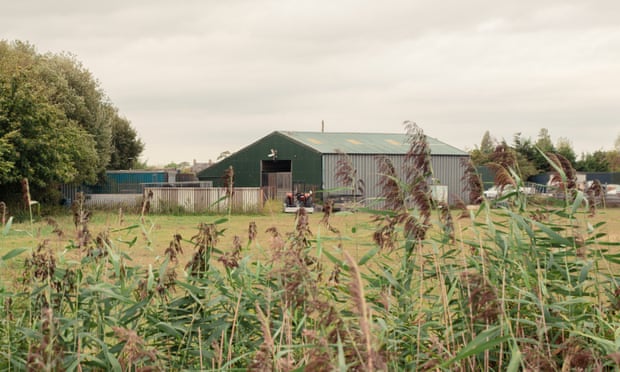 ‘I’ve lived here for 30 years’: Welsh shipping container resident faces eviction Outside view of the house Gibbons built 30 years ago.