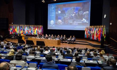 Delegates at the OPCW conference in The Hague