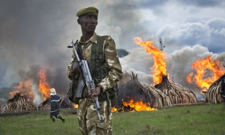 A ranger from the Kenya Wildlife Service stands guard as pyres of ivory are set on fire in Nairobi National Park