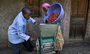 Coffee farmers in Kasese, Uganda use a hand cranked coffee cherry pulper machine