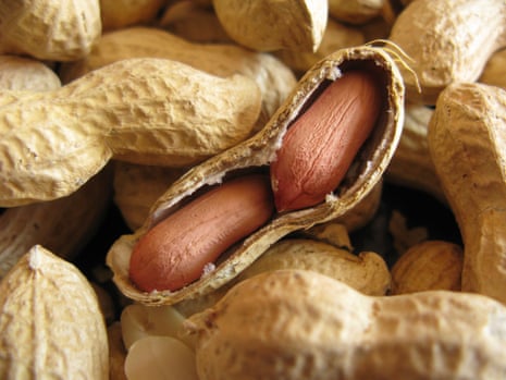peanuts in their shell