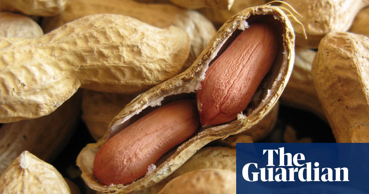 Now we have options': the scientists trying to cure our allergies