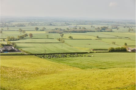 A view of Barber’s fields