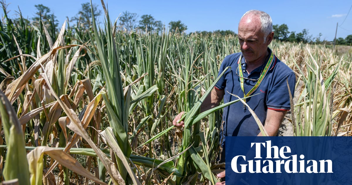 Falls in Europe’s crop yields due to heatwaves could worsen price rises