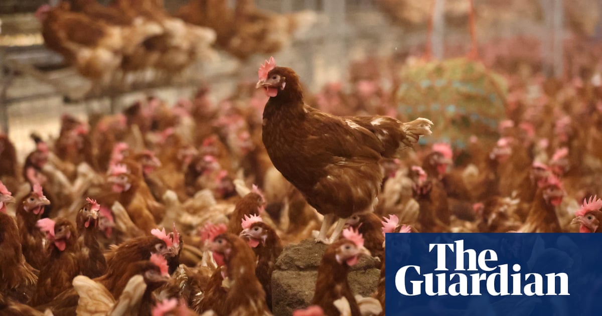 Bird flu outbreak confirmed at East Yorkshire poultry farm