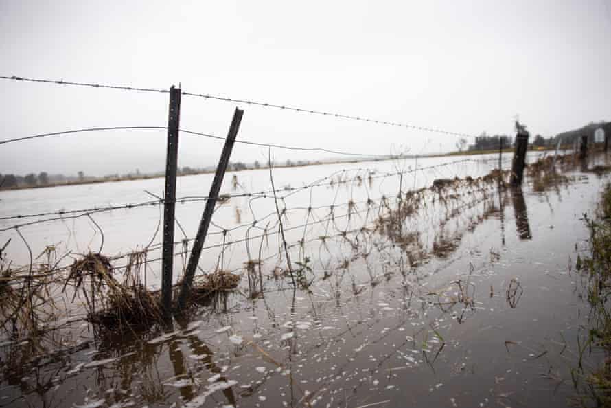 Flood water on farmland outside the town of Broke in the NSW Hunter region