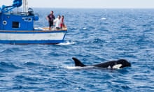 orcas kentern yacht