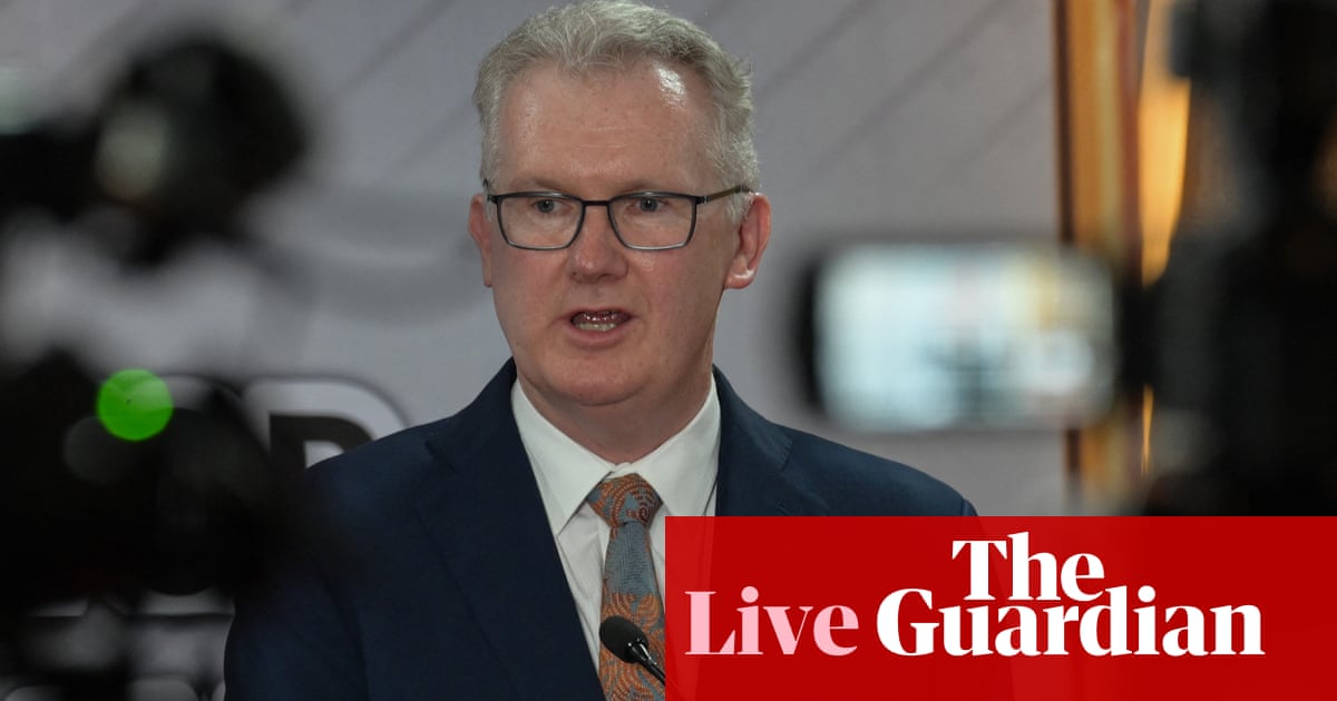 Australia news live: immigration department speeding up humanitarian visas for Palestinians, Tony Burke says