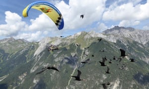 Northern Bald Ibis fly with their human foster parent who is teaching them how to migrate