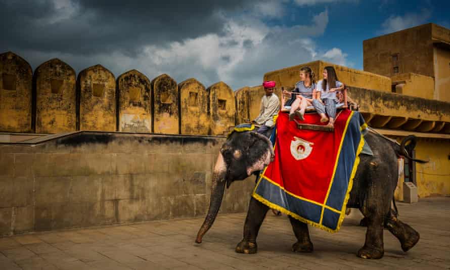 Jaipur Protest Demands End To Use Of Elephants To Carry Tourists Animal Welfare The Guardian Jaipur Protest Demands End To Use Of Elephants To Carry Tourists Animal Welfare The Guardian