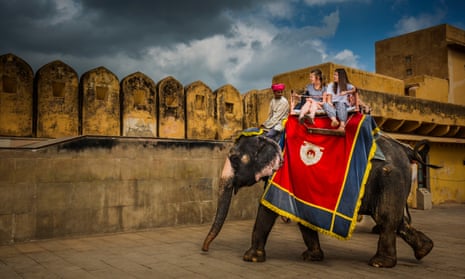 Elephants carry tourists along the walls of the Amber Fort in Jaipur, India.