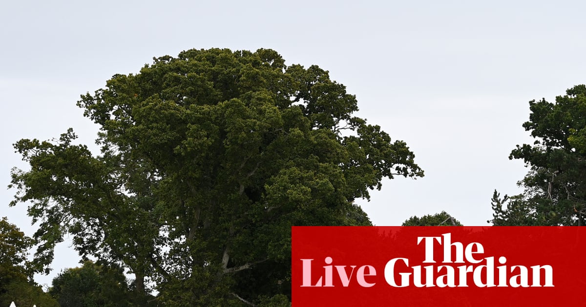 Ireland v England: second men’s T20 cricket international delayed by rain – live