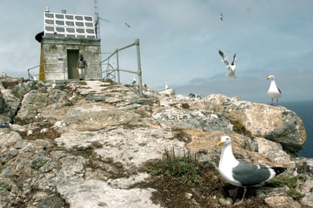 The US Fish and Wildlife service has a plan to drop tons of poison pellets on the Farallon Islands to solve the mouse infestation.