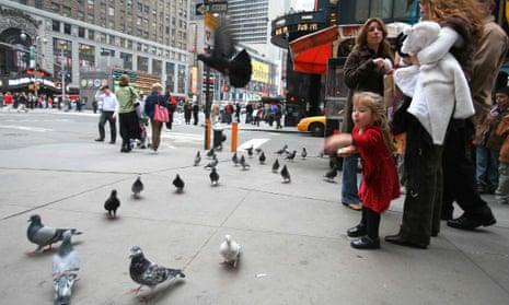 A study in Manhattan found that lead levels in pigeons’ blood were linked to the rate of children with raised blood lead levels.