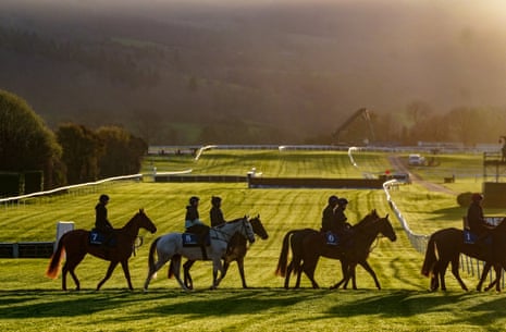 Horses from Gordon Elliott’s stable on the gallops at Cheltenham