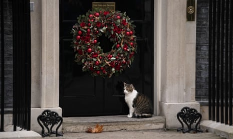 Larry the Cat, Britain's Chief Mouser to the Cabinet Office, stands by a Christmas wreath hanging on the door of  10 Downing Street