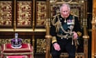 Swan wrangling and 'steamy trysts': the unusual lives and jobs of the king's entourage