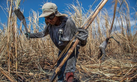 Sugarcane workers use dust monitors on their chests in Chichigalpa, Nicaragua