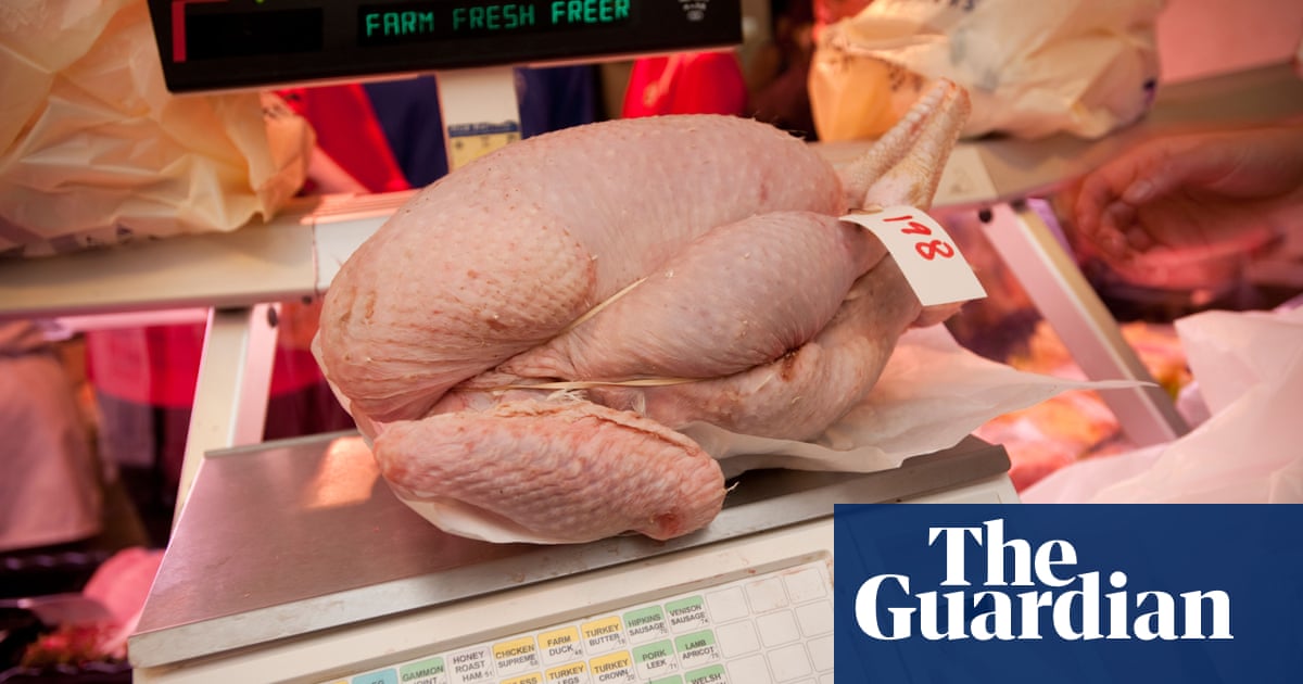 UK could face Christmas turkey shortage, says specialist supplier