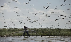 A man lays oil0absorbent boom as oil from the Deepwater Horizon oil spill impacts Cat Island in Barataria Bay, Plaquemines Parish, Louisiana, in 2010.