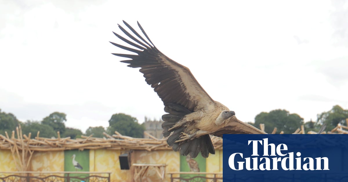A brilliant and bonkers day out: how art and spectacle transformed a former Durham mining town | County Durham A brilliant and bonkers day out: how art and spectacle transformed a former Durham mining town | County Durham
