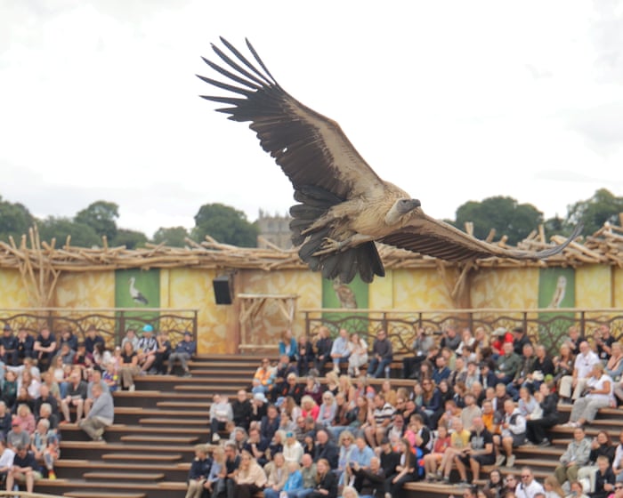 A brilliant and bonkers day out: how art and spectacle transformed a former Durham mining town