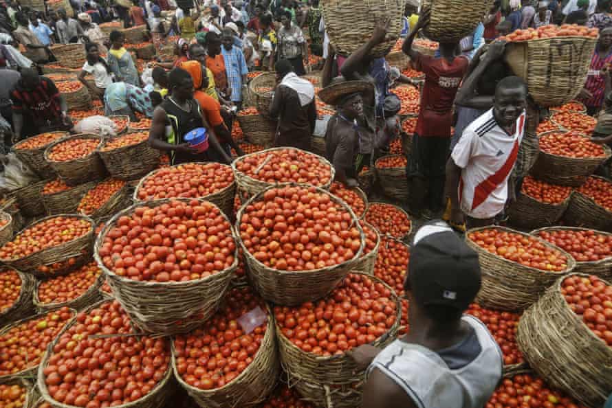 People buy tomatoes from a vegetable market in Lagos, where lockdowns have held up food supplies during the pandemic.
