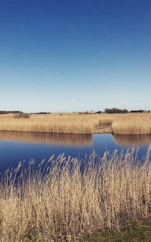 Sherwood, Snowdonia and the Solent: seven great UK escapes to make now | Beautifully British escapes 8 RSPB Minsmere, Norfolk