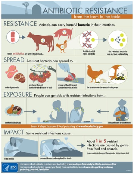 Antibiotic resistance from farm to table CDC