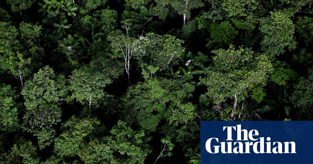 Beauty And Destruction The Amazon Rainforest In Pictures Global Development Professionals Network The Guardian Beauty And Destruction The Amazon Rainforest In Pictures Global Development Professionals Network The Guardian