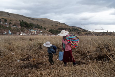 A woman walks with her child through dried out totora reed beds. They both wear hats and carry big bags on their backs. There are houses and hills in the distance.
